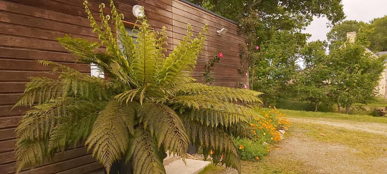 L'Oustaou Du Bodo Bed and Breakfast Ambon Εξωτερικό φωτογραφία